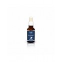 SYN SERUM